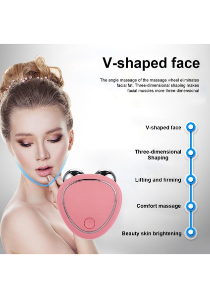 2x Ems Yüz Masajı Mikro-Akım Yüz Kaldırma Makinesi Silindir Cilt Sıkma Gençasyon Yüz Çıkarma B (Yurt Dışından) indirimleri