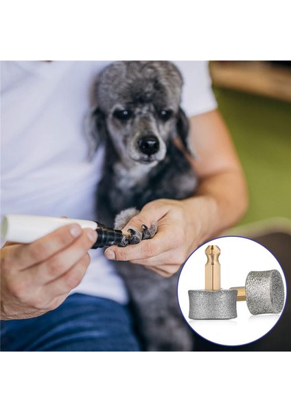 4pcs Köpek Çivi Taşlama Yedek Kafaları Casfuy Için Uyumlu Elmas Ipuçları Matkap Ucu Evcil Hayvan Çivi Yedek Tekerlekler Düzelticiler (Yurt Dışından) fiyatları