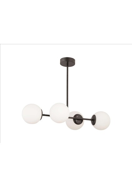 Daisy 4'lü Avize Siyah