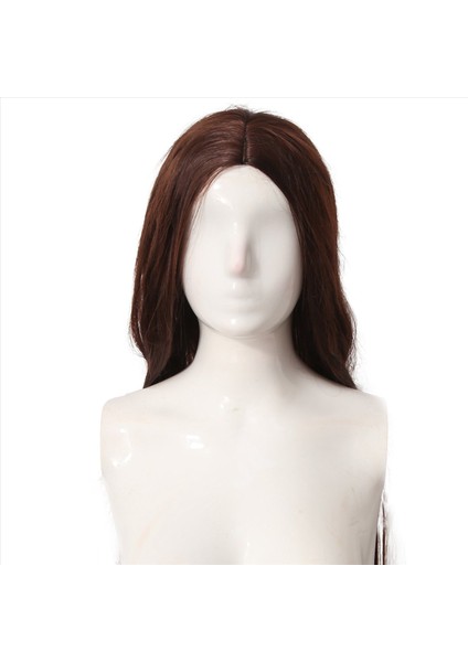 Avrupa Amerikan Kahverengi Uzun Düz Peruk Kadın Patlamaları Düz Saç Sıcaklık Tel Günlük Partiler Gece Kulüpleri (Yurt Dışından) fırsatları