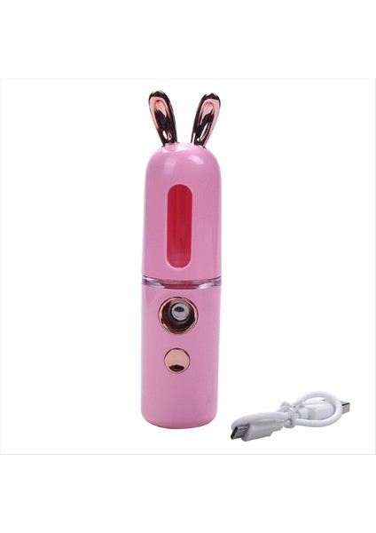 Yeni Mini USB Şarj Edilebilir Nano Yüz Hidratör Püskürtücü Kadınlar Güzellik Enstrümanları Ev Kullanın Nemlendirici Yüz Vapur Pembe (Yurt Dışından)