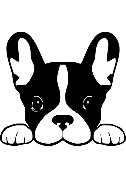 Camdan Bakan Köpek Oto Özel Yeni Sticker Siyah 30 x 27 cm