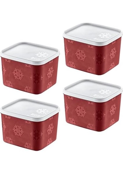 4'lü Set No Frost Saklama Kabı Carmen 1250 ml fiyatları