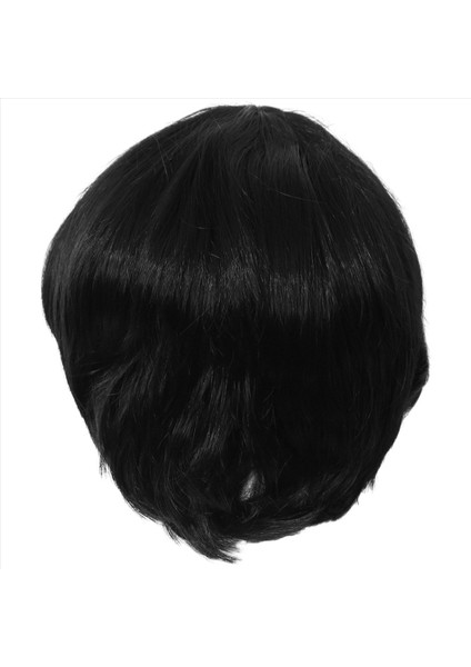 Erkek Kısa Düz Siyah Günlük Hayat Tam Peruk (Yurt Dışından) modelleri