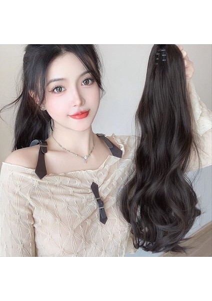 Siyah Kahverengi Peruk At Kuyruğu Kapmak Klipli Hip-Hops At Kuyruğu Doğal Zorlayıcı At Kuyruğu Dişi Örgü (Yurt Dışından) fiyatları