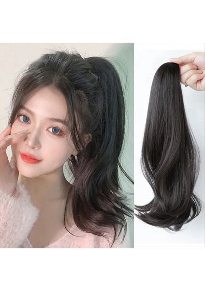 Siyah Kahverengi Peruk At Kuyruğu Kapmak Klipli Hip-Hops At Kuyruğu Doğal Zorlayıcı At Kuyruğu Dişi Örgü (Yurt Dışından) modelleri