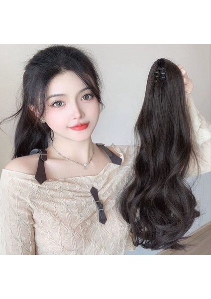 Siyah Kahverengi Peruk At Kuyruğu Kapmak Klipli Hip-Hops At Kuyruğu Doğal Zorlayıcı At Kuyruğu Dişi Örgü (Yurt Dışından) fırsatları