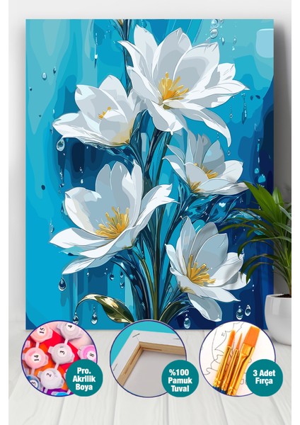 Kardelen Çiçeği Sayılarla Boyama Seti