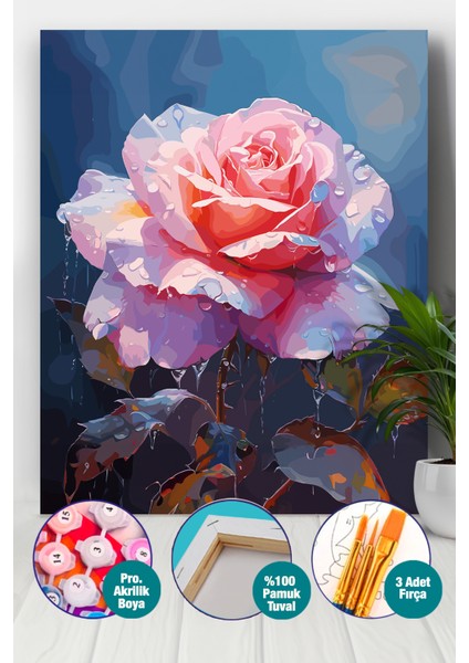 Yağmurda Gül Sayılarla Boyama Seti