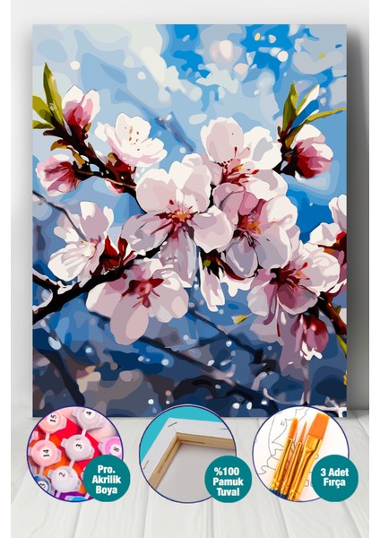 Kiraz Çiçeği Sayılarla Boyama Seti