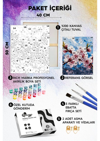 Kiraz Çiçeği Sayılarla Boyama Seti fiyatları