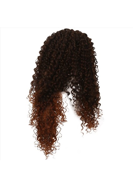 Avrupa ve Amerikalı Kadınlar 16INCH Kıvırcık Saç Kimyasal Elyaf Küçük Alan El Dokunmuş Peruk Kahverengi Kadın Dantel Ön Peruklar (Yurt Dışından) fiyatları