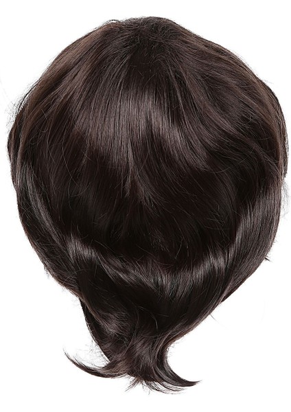 Moda Erkek Peruk Kısa Düz Sıcaklık Ipek Sentetik Peruk Tam Peruk/sanatsal Erkekler Erkekler Için Kahverengi Siyah Peruklar (Yurt Dışından)