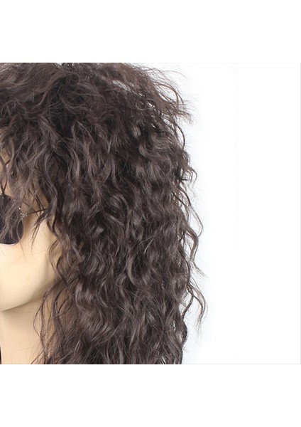 Erkek Peruklar Punk Sarkık Erkek Sıcaklık Fiber Kaya Cosplay Kostüm Parti Için Uzun Kıvırcık Peruk Açık Altın ve Kahverengi (Yurt Dışından) fiyatları