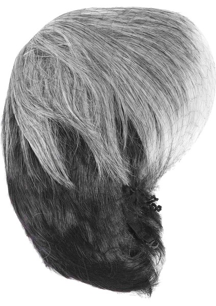 Erkekler Kısa Düz Peruk Ombre Gri Siyah Sentetik Peruk Erkek Saçları Için Gerçekçi Doğal Toupe Peruk (Yurt Dışından) fiyatları