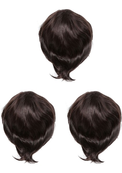 3x Moda Erkek Peruk Kısa Düz Sıcaklık Ipek Sentetik Peruk Tam Peruk/sanatsal Erkekler Erkekler Için Kahverengi Siyah Peruklar (Yurt Dışından)