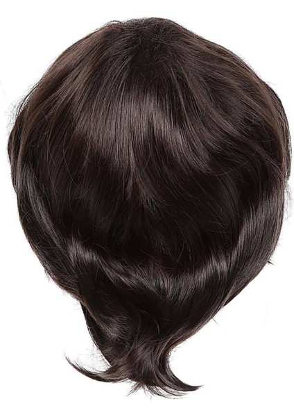 3x Moda Erkek Peruk Kısa Düz Sıcaklık Ipek Sentetik Peruk Tam Peruk/sanatsal Erkekler Erkekler Için Kahverengi Siyah Peruklar (Yurt Dışından) fırsatları