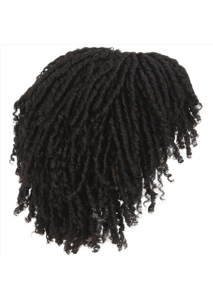 Afrika Içi Boş Kirli Örgülü Peruk Kimyasal Fiber Kısa Kıvırcık Saç Kirli Örgülü Peruk Kadınlar Kadınlar Için Siyah Dreadlock Peruk (Yurt Dışından) fiyatları