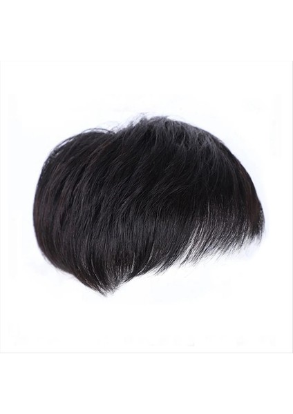 Erkekler Doğal Siyah Kısa Peruk Düz Peruk Saç Klipsli Toupee Saç Erkekler Başının Üstü Değişim Değişimi (B) (Yurt Dışından)