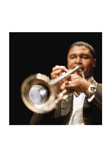 Sessiz Susturucu Trompet Gürültü Azaltıcı Için Alüminyum Alaşımlı Sessiz Rahatsızlık Önleyici Kauçuk Kenarlı Zayıf Ses Sönümleyici (%80 -%90 Gürültü Azaltma) fiyatları