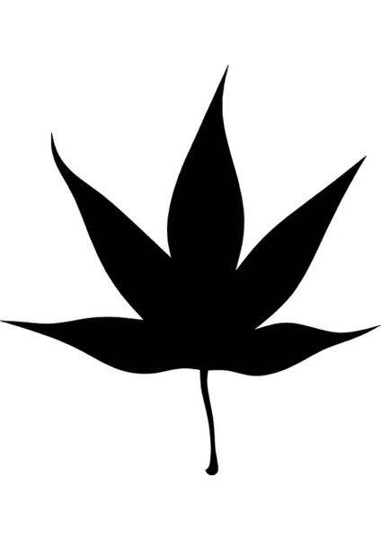 Çınar Yaprağı Sticker 20 x 22 cm