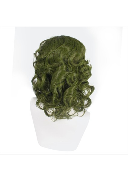 Palyaço Kostüm Peruk Erkekler Için Yeşil Peruk Kısa Dalgalı Peruk Joker Fleck Wig Cadılar Bayramı Partisi (Yurt Dışından) indirimleri