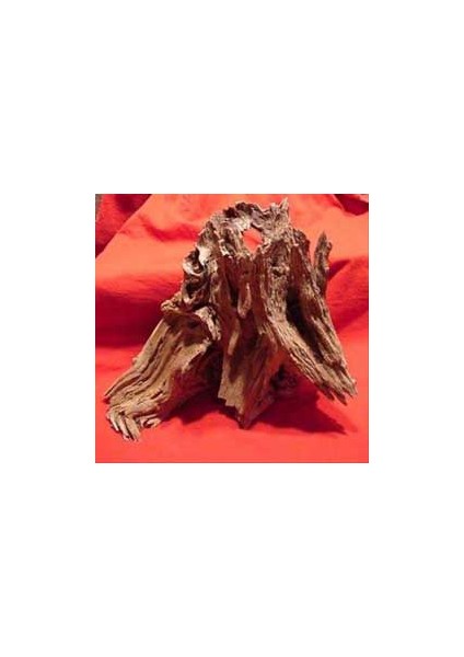 Mango Mangrove Akvaryum Kütügü Large(L) fiyatları