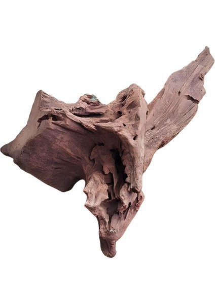 Mango Mangrove Akvaryum Kütügü Large(L) fırsatları