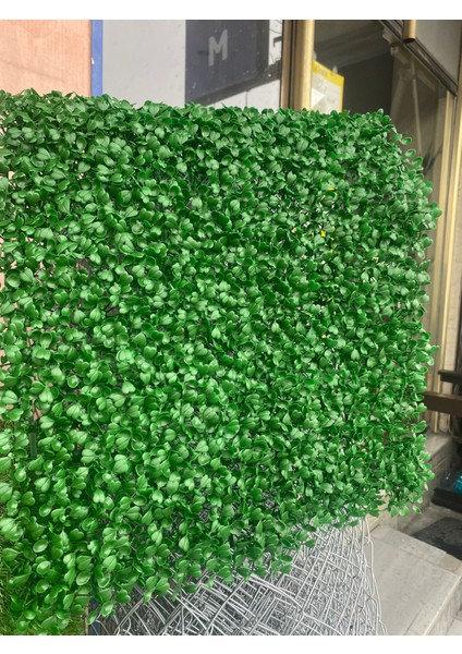 Yapay Şimşir Duvar Paneli