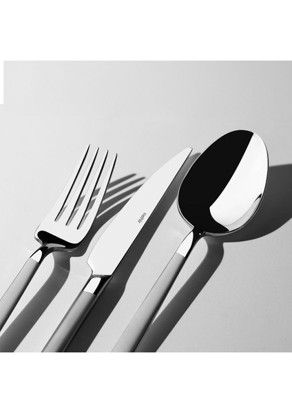 Dalyan Saten 72 Parça Kutulu Çatal Kaşık Bıçak Takımı - Gri fiyatları