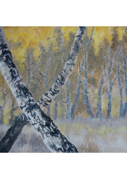 Sessizlik fırsatları