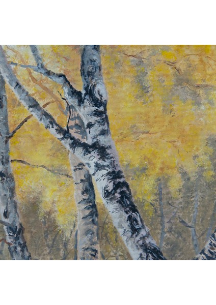 Sessizlik indirimleri