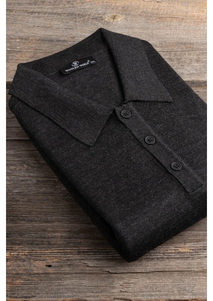 Polo Yaka Battal (Büyük Boy) Yünlü Triko Kazak fiyatları