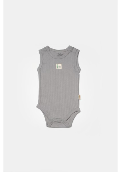 Babycosy Erkek Bebek Çıtçıtlı 2'li Atlet Badi 3-24 Ay Mavi fiyatları