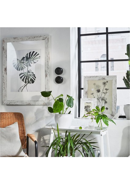 Plommontrad Renkli Çerçeve Çam Beyaz 30 x 40 cm fırsatları