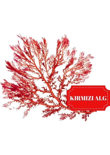  Kolajen Eklem Sağlığı | 60 Tablet | fırsatları