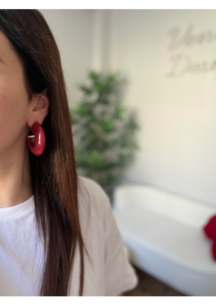 Çelik Renkli Halka Küpe fiyatları