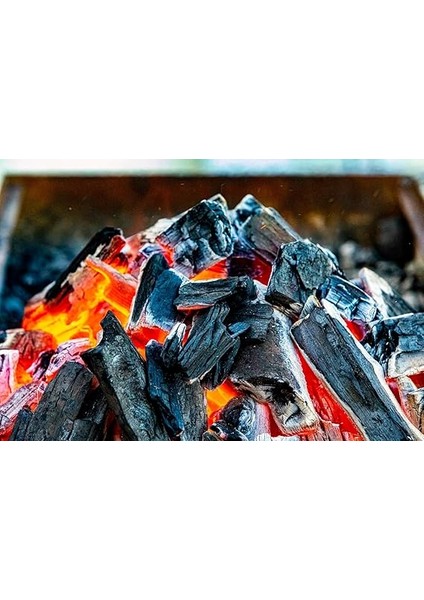 Xl Parça Meşe Barbekü Mangal Kömürü 10 kg modelleri