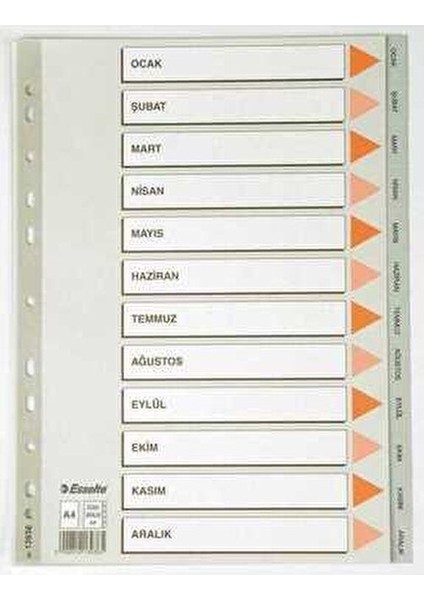 A4 Seperatör Gri Renkli 12 Parça Ocak-Aralık Düzenleyici 13936 fiyatları