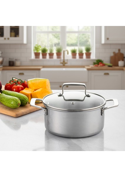 Pro Tri Ply Derin Tencere Çelik 20 cm