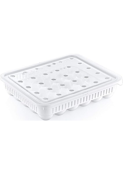 30'lu Kapaklı Yumurta Saklama Kabı, Akrilik Plastik Yumurtalık Organizer modelleri