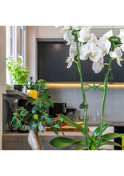 120PCS Bitki Destekleri Set - 40 Paket Çiçek Bitki Bahçesi Çubukları (3 Boyut) 40 Bitki Destek Klipleri ve 40 Orkide Klipsleri (Yurt Dışından) indirimleri