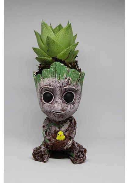 3D Dekoratif Saksı+ Canlı Sukulent Bitkili Civciv Figürlü