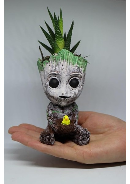 3D Dekoratif Saksı+ Canlı Sukulent Bitkili Civciv Figürlü fiyatları