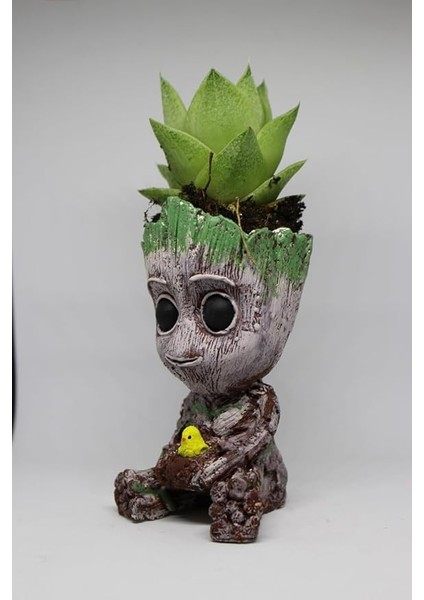 3D Dekoratif Saksı+ Canlı Sukulent Bitkili Civciv Figürlü modelleri