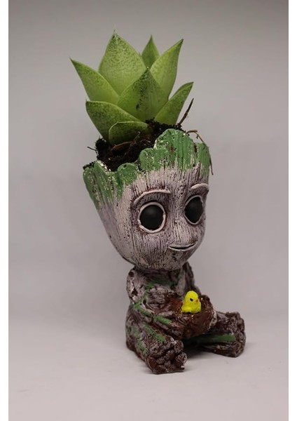 3D Dekoratif Saksı+ Canlı Sukulent Bitkili Civciv Figürlü fırsatları