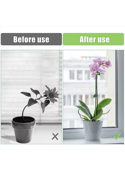 180PCS Bitki Destekleri Set - 60 Paket Çiçek Bitki Bahçesi Çubukları (3 Boyut) 60 Bitki Destek Klipleri ve 60 Orkide Klipsleri (Yurt Dışından) modelleri