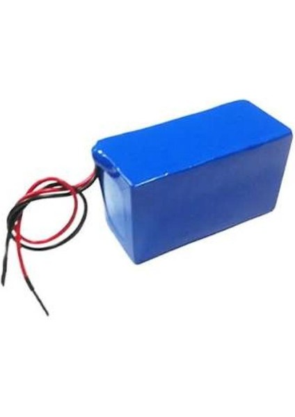 24 Volt 6 Ah Lifepo4 Batarya fiyatları