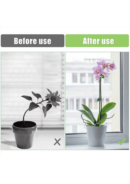 60PCS Bitki Destekleri Set - 20 Paket Çiçek Bitki Bahçesi Çubukları (3 Boyut) 20 Bitki Destek Klipleri ve 20 Orkide Klipsleri (Yurt Dışından) modelleri