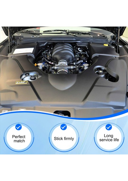 Maserati Quattroporte Için 2pcs Bonnet Hood Strut Hood Gaz Bahar Şoku 2004-2012 Sedan (Yurt Dışından) fırsatları